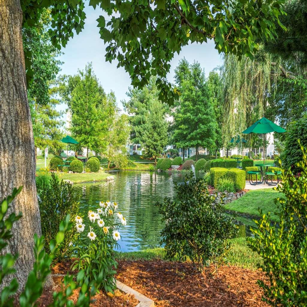 בראנסון The Suites At Fall Creek מתקנים תמונה
