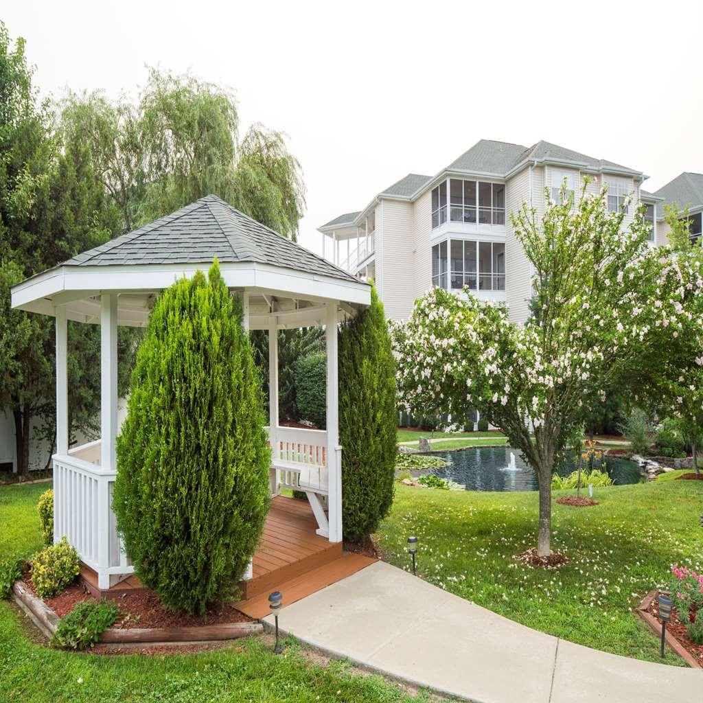 בראנסון The Suites At Fall Creek מתקנים תמונה
